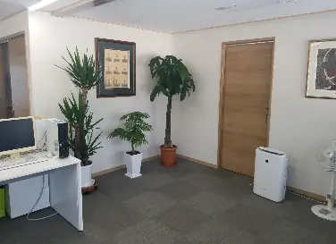 有限会社大侑の画像2枚目