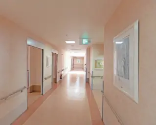 株式会社なまくまの画像2枚目