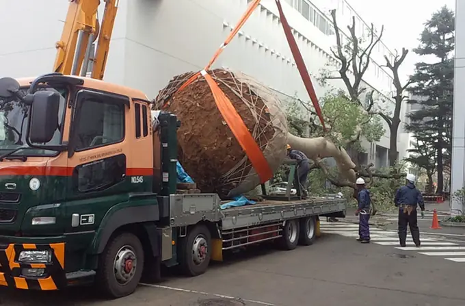 株式会社大進緑建の画像1枚目