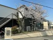 特定非営利活動法人　栄友社の画像