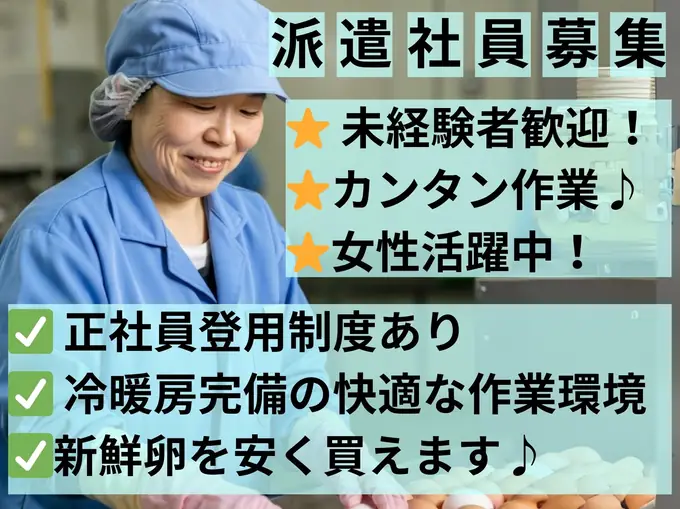 卵の検品・箱詰め／冷暖房完備／シンプルワーク／シフト制／60代活躍中の画像1枚目