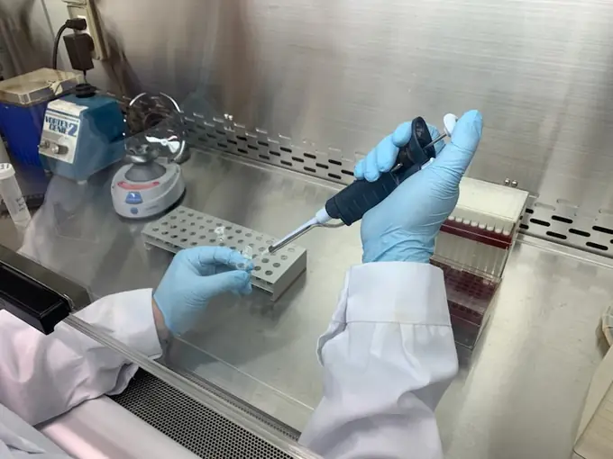 いであ株式会社　食品・生命科学研究所の画像2枚目