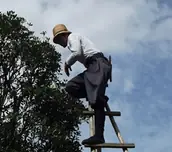株式会社三村庭苑の画像