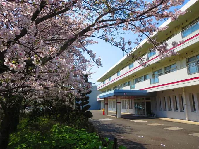 社会福祉法人つちや社会福祉会の画像2枚目