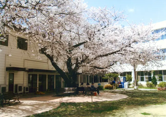 医療法人社団欣助会　吉祥寺病院の画像2枚目