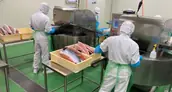 株式会社アクアプラットフォームの画像