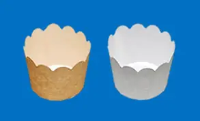 イケヤ・インターコマース株式会社の画像2枚目