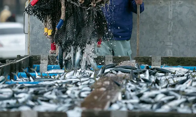 株式会社高木商店の画像2枚目