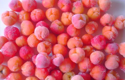 株式会社サンシントレーディングの画像1枚目