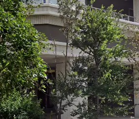 株式会社アンジェロルーチェの画像2枚目