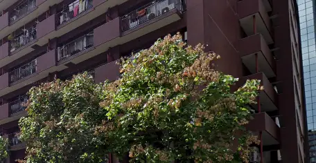 医療法人社団美加未会の画像2枚目