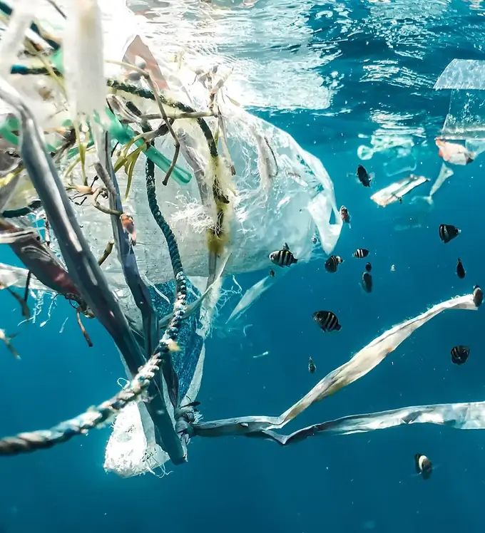 合同会社エクストハウ京都の画像2枚目