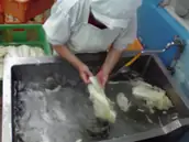 株式会社前澤産業の画像