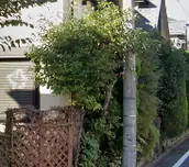 タノエン株式会社の画像