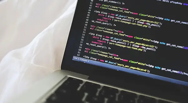 ロックスインターナショナル株式会社の画像2枚目