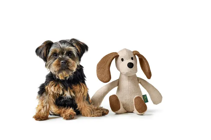 ジャーマンペット株式会社の画像2枚目