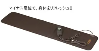 フランス総合医療株式会社の画像2枚目