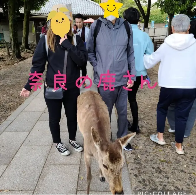 合同会社トレジャーの画像2枚目