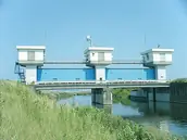 いであ株式会社の画像