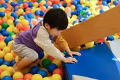 一般社団法人こころ教育ネットの画像