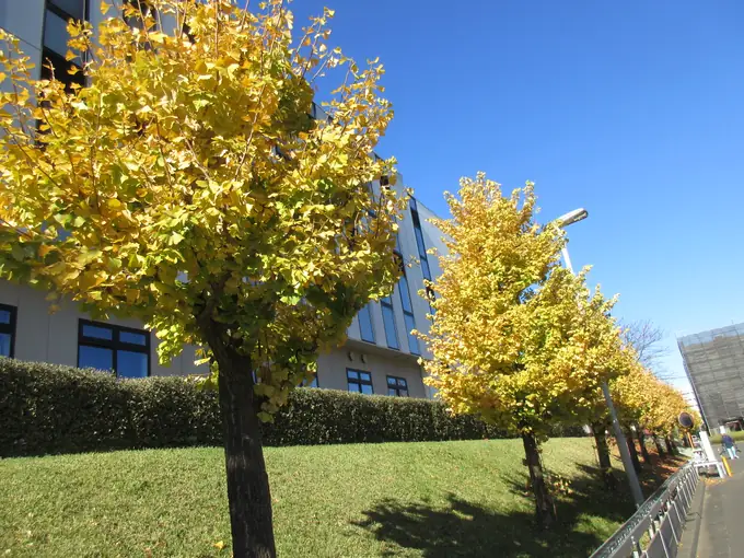 坂田化学株式会社の画像2枚目